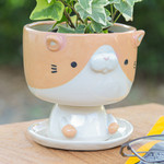 Ceramic mini flower pot, 'Enchanting Kitty' - Cat-Shaped Ivory Orange Ceramic Mini Flower Pot with Saucer