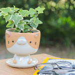 Ceramic mini flower pot, 'Enchanting Kitty' - Cat-Shaped Ivory Orange Ceramic Mini Flower Pot with Saucer