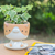 Ceramic mini flower pot, 'Enchanting Kitty' - Cat-Shaped Ivory Orange Ceramic Mini Flower Pot with Saucer