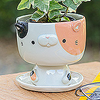 Mini-Blumentopf aus Keramik, „Sweet Kitty“ – Handgefertigter Mini-Blumentopf aus Keramik in Katzenform mit Untersetzer