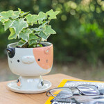 Ceramic mini flower pot, 'Sweet Kitty' - Handcrafted Cat-Shaped Ceramic Mini Flower Pot with Saucer
