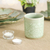 Celadon ceramic teacup, 'Wealthy Peony' - Leafy and Floral Green Ceramic Teacup with Crackled Finish