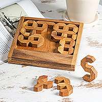 Wood puzzle, 'Mysterious Digit'