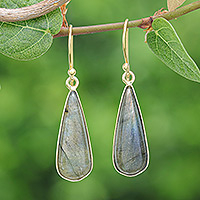 Gold-plated labradorite dangle earrings, 'Tranquil Dew' - 18k Gold-Plated Drop-Shaped Labradorite Dangle Earrings