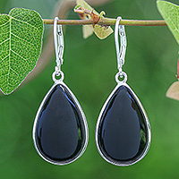 Onyx dangle earrings, Nocturnal Sky