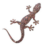Iron wall art, 'Festive Scales' - Handcrafted Tropical-Inspired Iron Gecko Wall Art