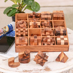 Wood puzzle set, 'Logical Challenges' (set of 16) - Set of 16 Wood Logic Puzzles with Box Crafted in Thailand
