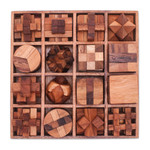 Wood puzzle set, 'Logical Challenges' (set of 16) - Set of 16 Wood Logic Puzzles with Box Crafted in Thailand