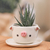 Ceramic mini flower pot, 'Piglet Spring' (small) - Piglet-Shaped Ceramic Mini Flower Pot and Saucer (Small)