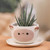 Ceramic mini flower pot, 'Sheep Spring' (small) - Handcrafted Ceramic Sheep Mini Flower Pot and Saucer (Small)