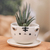 Ceramic flower pot, 'White Tiger Epoch' (medium) - Thai-Made White Tiger Ceramic Flower Pot and Saucer (Medium)