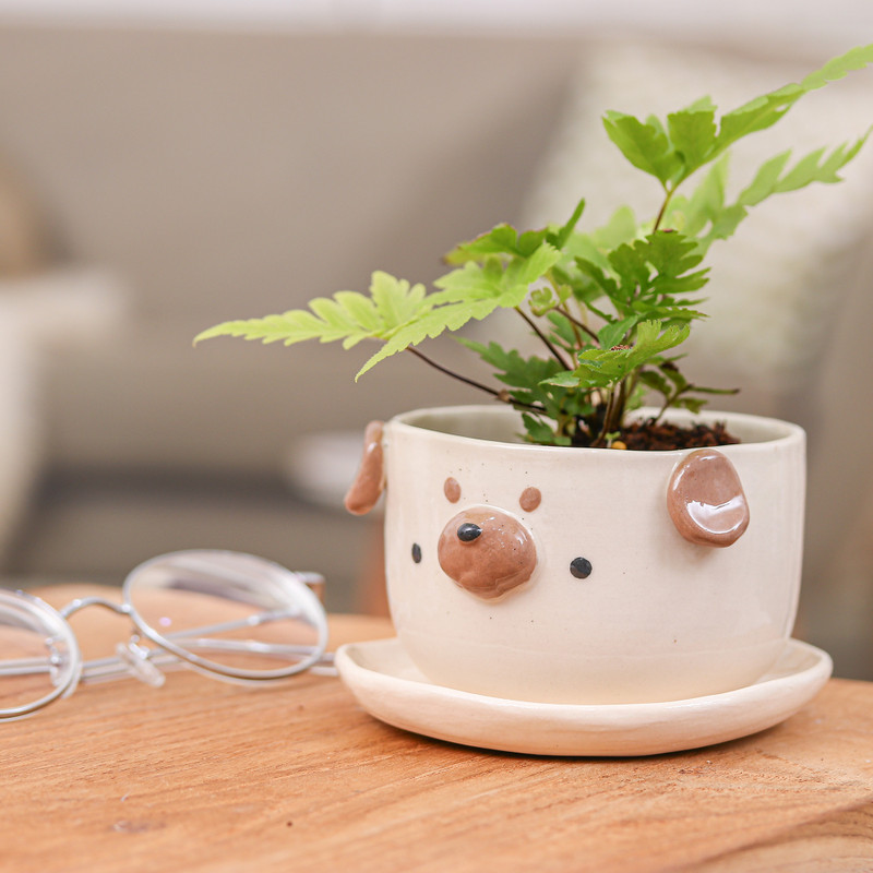 Pug Pot Artisan-Crafted Pug Dog-Themed Ceramic Flower Pot and Saucer - Pug ...