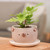 Ceramic flower pot, 'Bear Blossoming' - Thai Bear-Themed Glazed Ceramic Flower Pot and Saucer Set