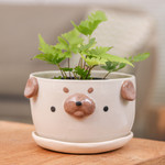 Ceramic flower pot, 'Pug Nature' (extra large) - Glazed Pug Dog Ceramic Flower Pot and Saucer (Extra Large)