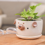 Ceramic flower pot, 'Pug Nature' (extra large) - Glazed Pug Dog Ceramic Flower Pot and Saucer (Extra Large)