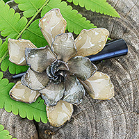 Natural flower hair clip, 'Gardenia Majesty' - Resin-Coated Natural Gardenia Flower Hair Clip from Thailand