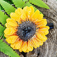 Natural flower hair clip, 'Sunflower Day' - Spring-Themed Thai Artisan-Made Natural Sunflower Hair Clip