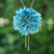 Gold-plated natural flower lariat necklace, 'Happy Sky Blue' - 22k Gold-Plated Sky Blue Chrysanthemum Bloom Lariat Necklace