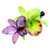 Natural flower hair clip, 'Fairy Cattleya' - Purple and Green Natural Cattleya Flower Resin Hair Clip
