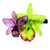 Natural flower hair clip, 'Fairy Cattleya' - Purple and Green Natural Cattleya Flower Resin Hair Clip