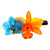 Natural flower hair clip, 'Summer Belle' - Summer-Themed Turquoise and Orange Orchid Flower Hair Clip