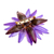 Natural flower brooch pin, 'Magical Rebirth' - Spring-Themed Resin-Coated Purple Waterlily Bloom Brooch Pin