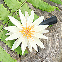 Natural water lily hair clip, 'Chic Ivory Water Lily' - Hair Clip with Resin-Coated Natural Water Lily in Ivory