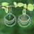 Gold-plated quartz and malachite chandelier earrings, 'Green Spark' - 18k Gold-Plated Quartz and Malachite Chandelier Earrings