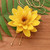 Gold-accented natural flower lariat necklace, 'Harmonious Yellow' - Fair Trade 22k Gold-Accented Yellow Lotus Lariat Necklace