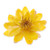 Natural flower brooch pin, 'Harmonious Yellow' - Nature-Themed Yellow Lotus Brooch Pin Crafted in Thailand