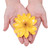 Natural flower brooch pin, 'Harmonious Yellow' - Nature-Themed Yellow Lotus Brooch Pin Crafted in Thailand