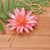 Gold-accented natural flower lariat necklace, 'Chic Red Water Lily' - Adjustable 22k Gold-Accented Red Water Lily Lariat Necklace