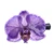 Natural orchid hair clip, 'Purple Whisper' - Bohemian Floral Resin-Coated Natural Purple Orchid Hair Clip