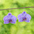 Gold-accented natural orchid dangle earrings, 'Purple Whisper' - Gold-Accented Resin-Coated Natural Orchid Dangle Earrings