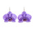 Gold-accented natural orchid dangle earrings, 'Purple Whisper' - Gold-Accented Resin-Coated Natural Orchid Dangle Earrings