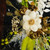Resin-coated wood and natural fiber wall art, 'Eclipsed Bloom' - Thai Inspirational Nature-Themed Wood and Flower Wall Art