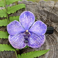 Natural orchid hair clip, 'Enchanted Petals' - Natural Purple Orchid Resin-Coated Hair Clip from Thailand