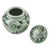 Celadon ceramic jar, 'Blossom Kiss' - Celadon ceramic jar