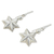 Sterling silver dangle earrings, 'Starlight' - Sterling silver dangle earrings (image 2b) thumbail