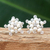 Pearl button earrings, 'White Stars' - Hand Made Pearl Button Earrings from Thailand thumbail