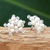 Pearl button earrings, 'White Stars' - Hand Made Pearl Button Earrings from Thailand (image 2b) thumbail
