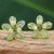 Peridot earrings, 'Lime Flower' - Peridot earrings (image 2) thumbail