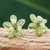 Peridot earrings, 'Lime Flower' - Peridot earrings (image 2b) thumbail