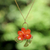 Natural orchid flower necklace, 'Tropicana' - Natural orchid flower necklace thumbail