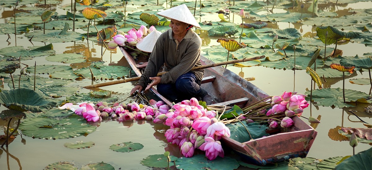 NOVICA Thailand