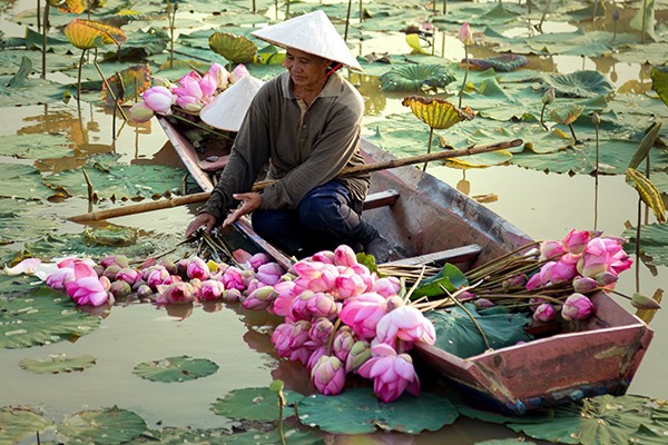 NOVICA Thailand