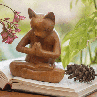 The Yogi